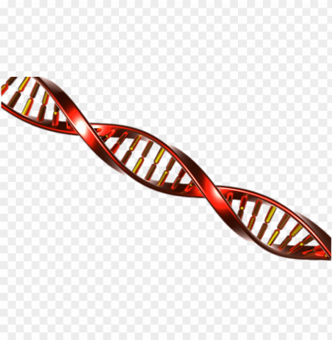 dna string red and yellow PNG images free download transparent background