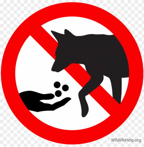 do not feed dog clipart coyote german shepherd puppy - don t feed animals Isolated Character with Clear Background PNG