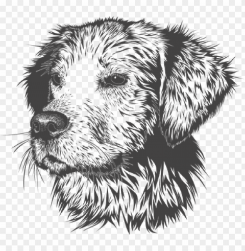 dog animal domestic animal doggie - animal head vector black white PNG transparent images extensive collection