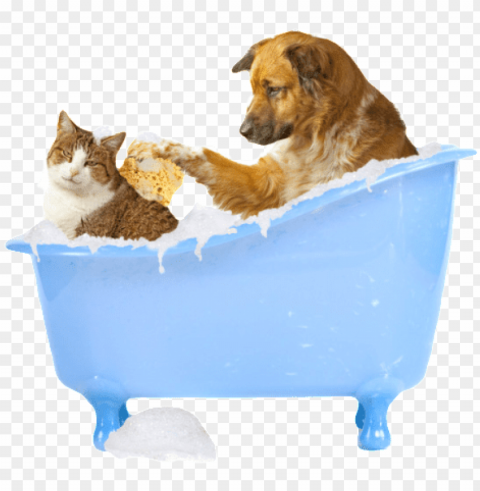 dog bathing cat clipped rev - cat and dog PNG Graphic Isolated on Clear Backdrop