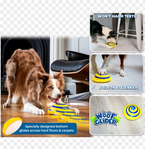 dog catches somethi PNG with alpha channel for download PNG transparent with Clear Background ID 3e279770