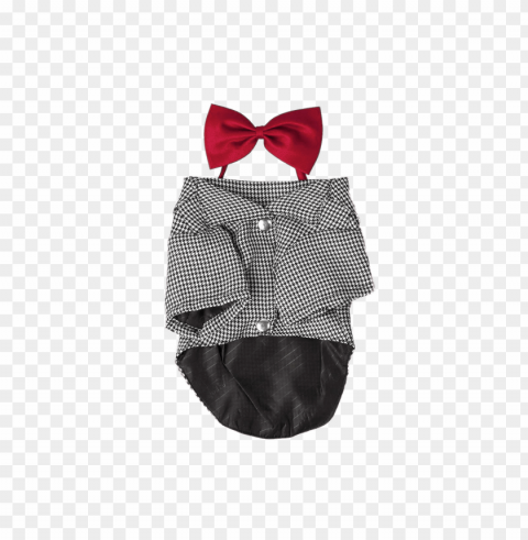 dog costume with bow tie PNG Isolated Subject with Transparency