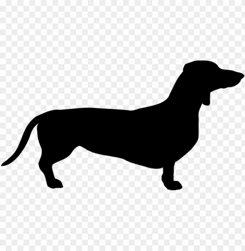 dog dachshund breed pet coat doggy the sil - dachshund sv Clear background PNG elements