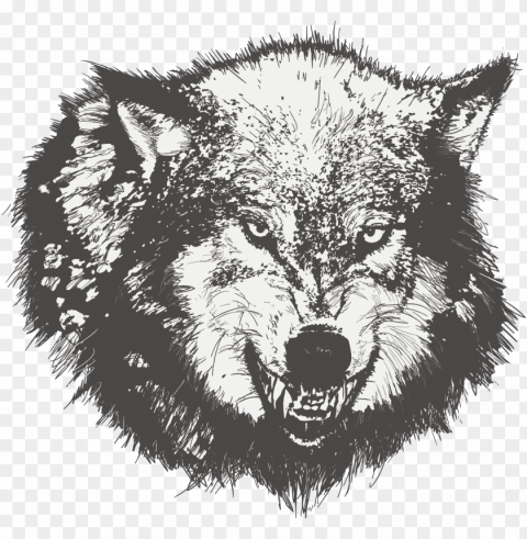 dog drawing black wolf sketch painted transprent - wolf angry face vector Free PNG file