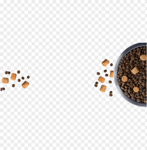 dog food bowl - cat treat no background PNG for presentations