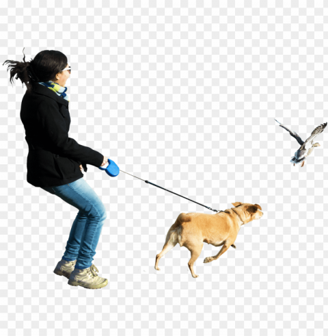 dog running at birds image - person walking dog High-resolution transparent PNG images set