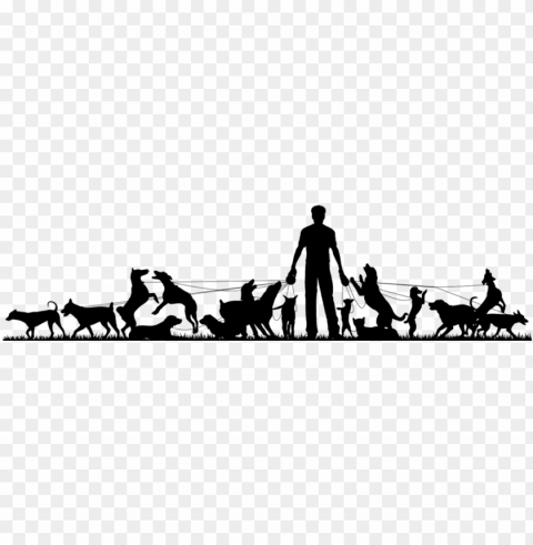 dog walking - pack of dogs silhouette Isolated Graphic on HighQuality PNG