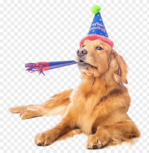 dogbirthday-3 - dog party hat PNG transparent graphics for download