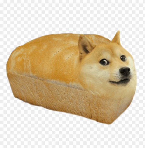 doge bread Transparent Background PNG Isolated Element