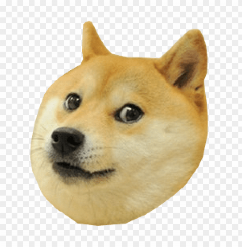 doge head Transparent background PNG photos PNG transparent with Clear Background ID 1005b113