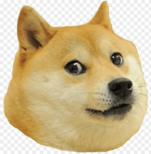 doge head right Transparent Cutout PNG Graphic Isolation