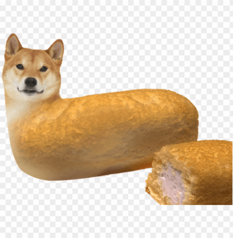doge - photo - memes with no background Isolated Subject on HighResolution Transparent PNG
