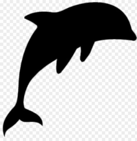dolphin PNG images with transparent elements pack