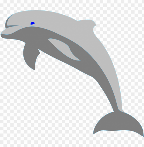 dolphin fish porpoise sea - jumping dolphin clip art Clear Background PNG Isolated Subject