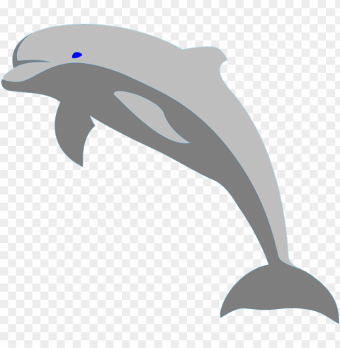 dolphin fish porpoise sea - jumping dolphin clip art Clear Background PNG Isolated Subject PNG transparent with Clear Background ID 862fe7f3