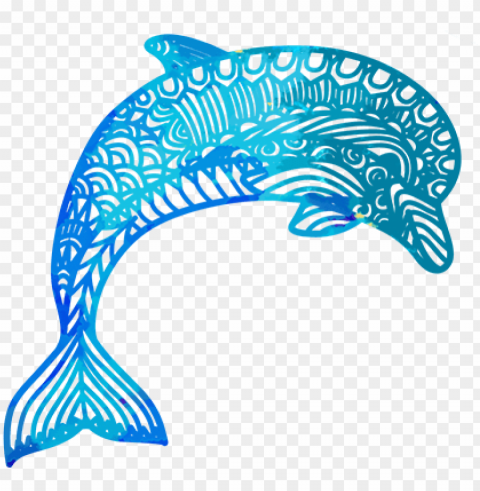 dolphin - dolphin Free PNG download