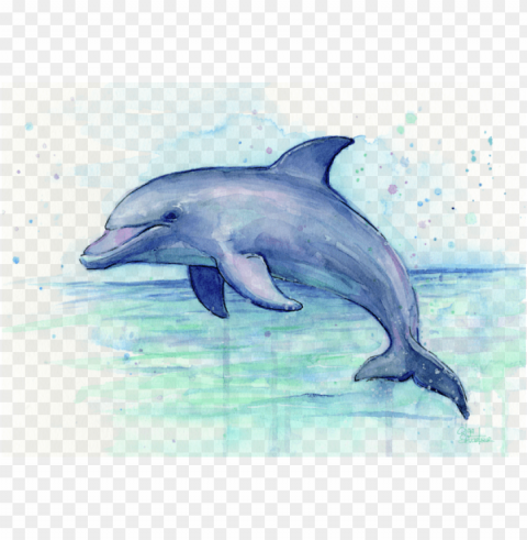 dolphin watercolor onesie for sale by olga shvartsur - dolphin art Transparent PNG graphics assortment