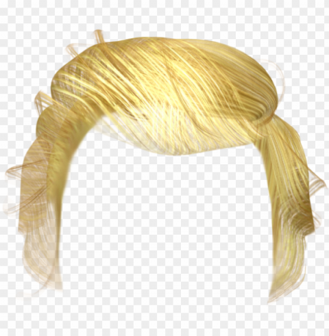 donald trump hair - donald trump hair PNG images with transparent overlay