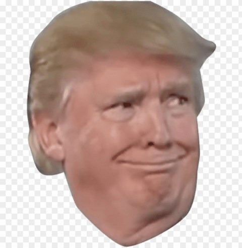 donald trump head - donald trump smirk PNG for digital art PNG transparent with Clear Background ID ab057f68