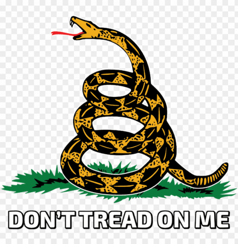 dont tread on me snake tattoos gadsden flag dont - don t tread on me leg tattoo Transparent PNG Isolated Subject