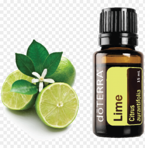 doterra essential oils - lime 15ml PNG transparent photos vast variety