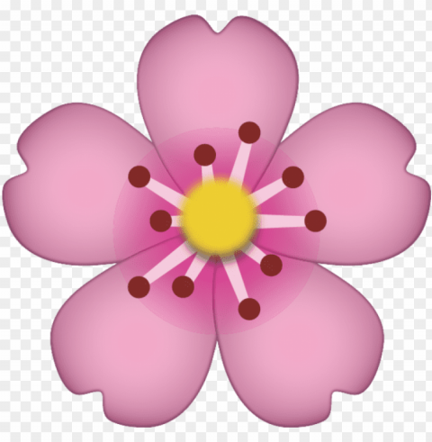 download cherry blossom icon - cherry blossom emoji PNG with Clear Isolation on Transparent Background