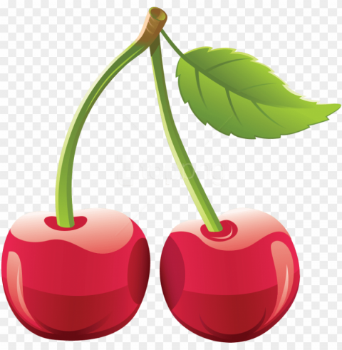 download cherry clipart photo - background cherry clipart Transparent PNG graphics archive