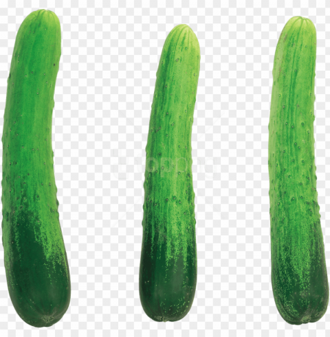 download cucumber images background - cucumber PNG transparent backgrounds