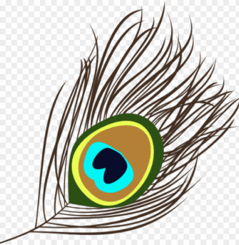 download free image and clipart eye images - peacock feather clipart PNG with transparent bg