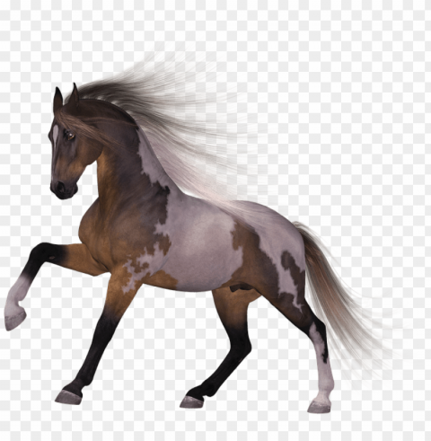 download horse transparent images transparent backgrounds - horse PNG graphics for free