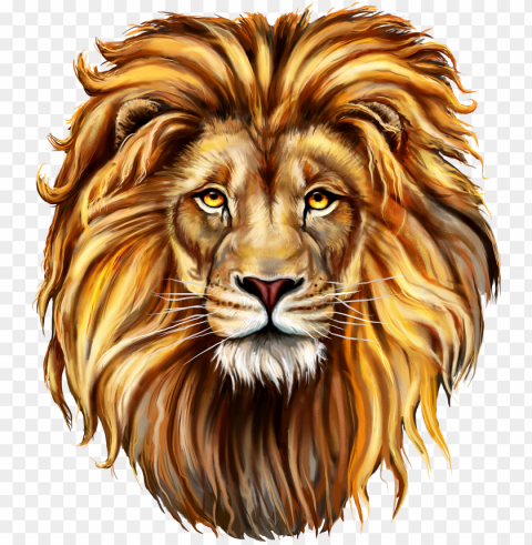 download - lion front face drawi Free PNG images with alpha transparency