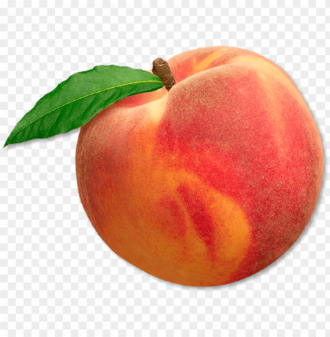  - peach Free download PNG with alpha channel