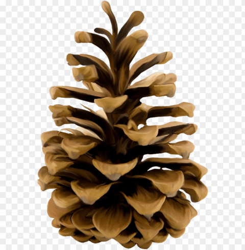 download - pinecone PNG images with alpha mask
