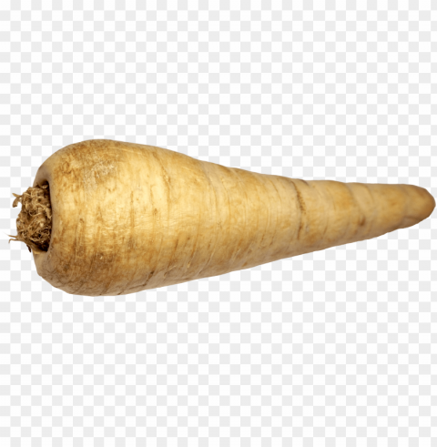 download - parsnip PNG Image Isolated on Clear Backdrop