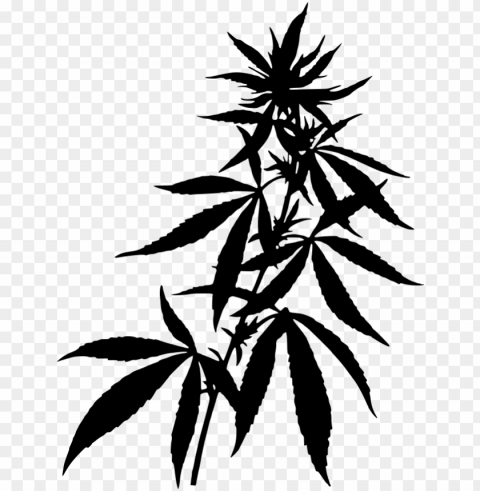 download - weed plant silhouette HighResolution Transparent PNG Isolation