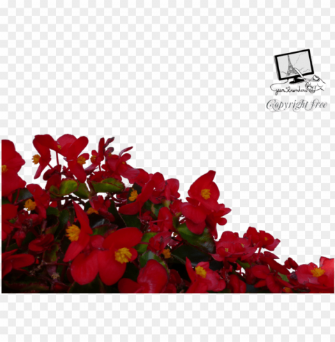 download red flowers clipart flower clip art flower - red flowers ClearCut Background PNG Isolation