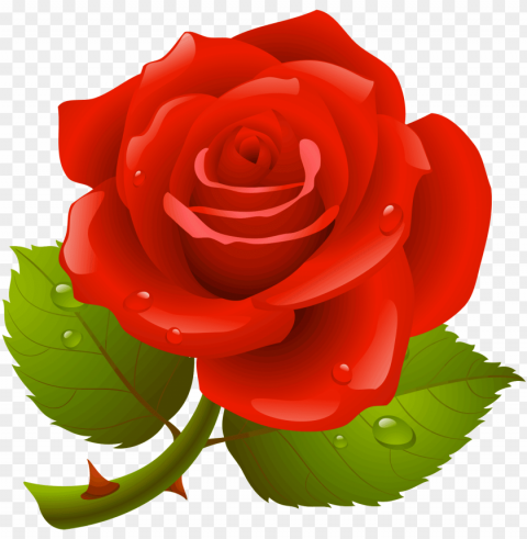 download - red rose vector free Isolated Design Element on PNG PNG transparent with Clear Background ID 925f126d