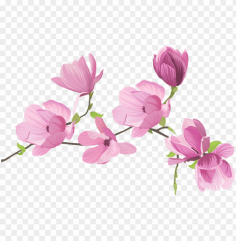 download spring tree flowers images - sweet pea flower clipart PNG with no background required