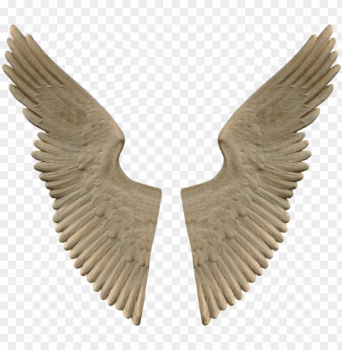 download - stone angel wings Isolated Object with Transparency in PNG