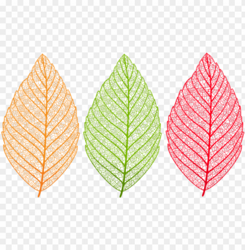 download leaves set clipart photo - translucent leaf background Free PNG images with transparent backgrounds