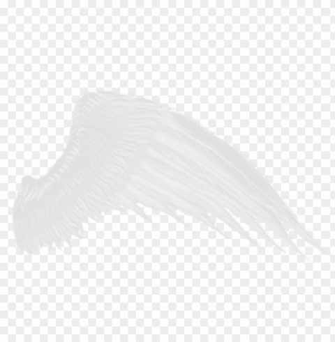  - white wings transparent background Clear PNG images free download PNG transparent with Clear Background ID 7135dbb7