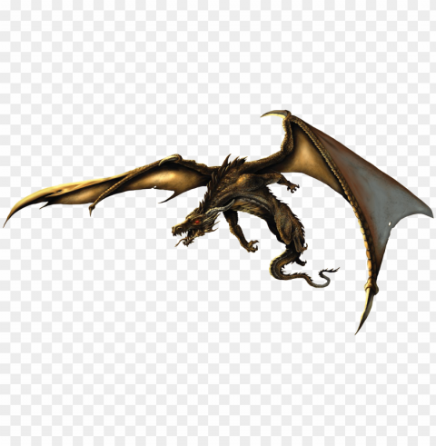 dragon PNG images for banners