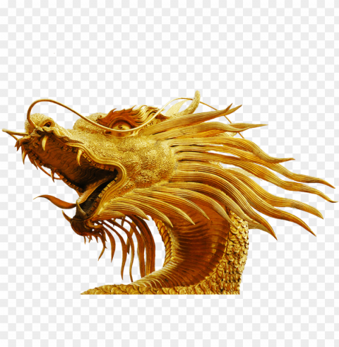 dragon skeleton - dragon head no background Transparent PNG images pack