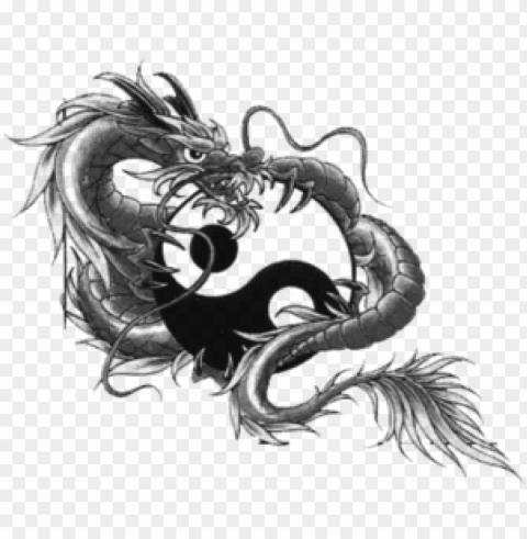 dragon tattoo design hand draw tattoo temporary tattoos - dragon yin yang tattoo designs Isolated Subject in Clear Transparent PNG