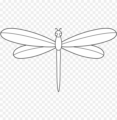 dragonfly - dragonfly cartoon white PNG files with clear backdrop collection