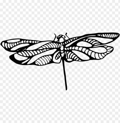 dragonfly tattoo Isolated Artwork in HighResolution Transparent PNG