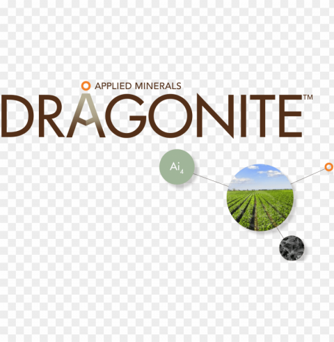 Dragonite Product Name Branding For The Technology - Oregon Ballet Theater Logo Transparent Background Isolated PNG Design