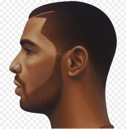 drake face image - drake PNG images with alpha transparency diverse set PNG transparent with Clear Background ID 7fdab8ea