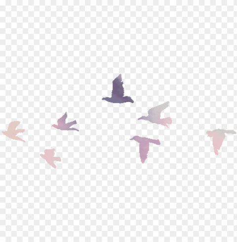 draw a far away bird PNG graphics