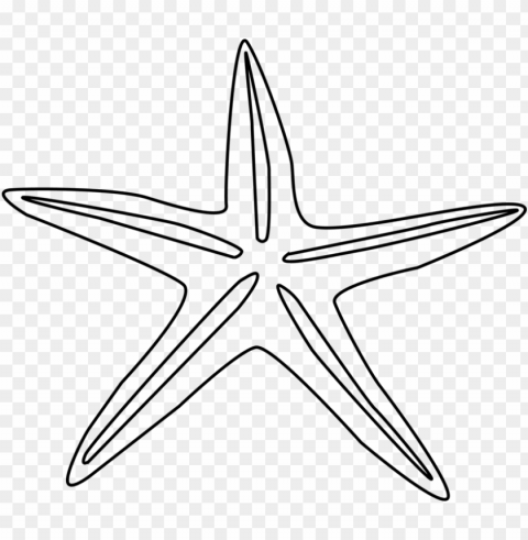 drawing echinoderm painting commercial - starfish outline Free PNG images with transparent backgrounds
